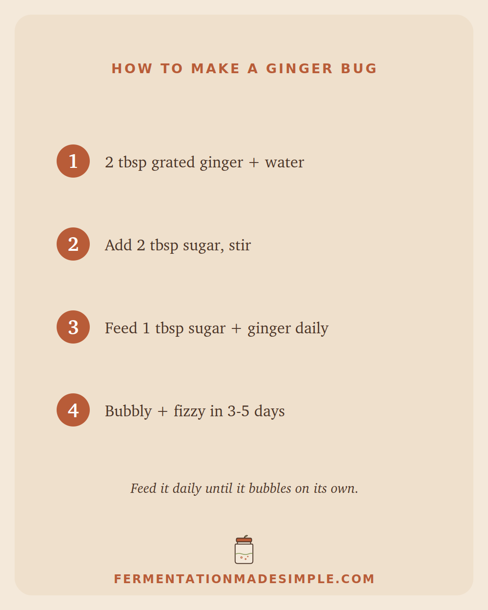 How to make a ginger bug in 4 steps