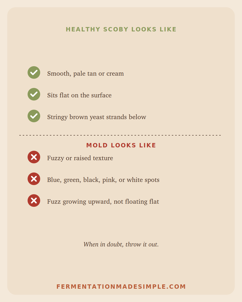 Healthy SCOBY vs mold comparison chart