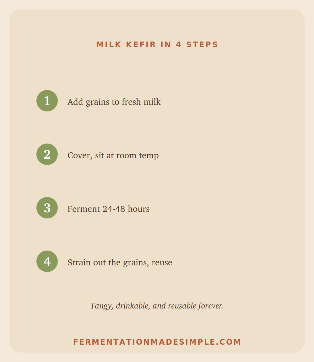 Milk kefir in 4 steps